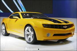 国产怪异外形车型图片视频