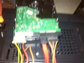 拔插拔插国产视频