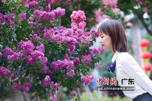 国产网红紫薇视频在线看 第3张 国产网红紫薇视频在线看 第3张