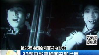 国产剧单眼瞄准视频大全,聚焦视觉冲击与情感共鸣的视听盛宴