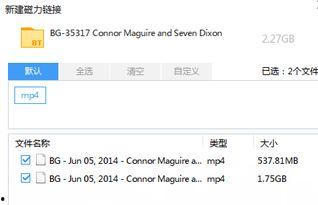 国产视频磁力连接 下载,探索海量影视资源下载新方式