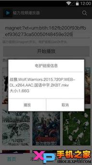 国产视频磁力连接 下载,探索海量影视资源下载新方式  第3张