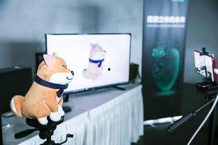 国产厂视频,匠心独运，科技赋能，引领未来制造潮流  第2张